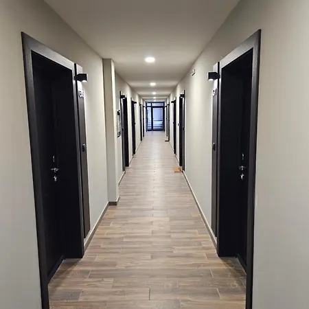 Nest 316 Bela Reka Kopaonik * Brzeće