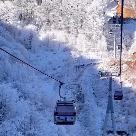 Nest 316 Bela Reka Kopaonik アパート Brzeće