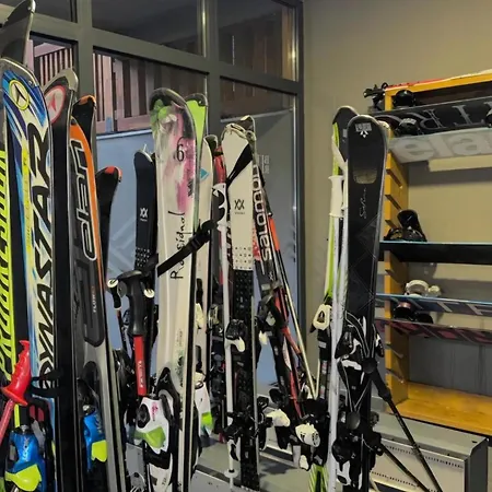 Nest 316 Bela Reka Kopaonik *