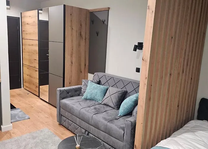 Nest 316 Bela Reka Kopaonik * Brzeće