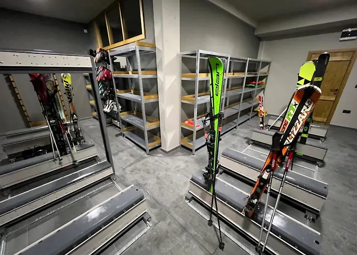 Nest 316 Bela Reka Kopaonik * Brzeće