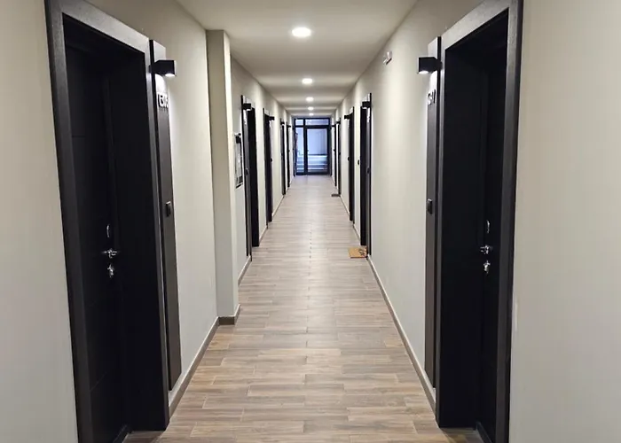 Nest 316 Bela Reka Kopaonik * Brzeće